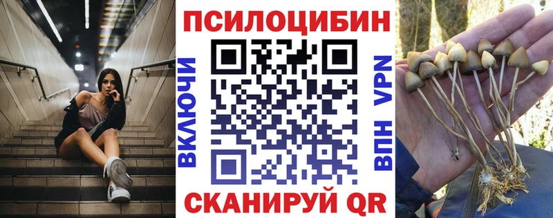 Купить  Вязьма  Галлюциногенные грибы мухоморы 